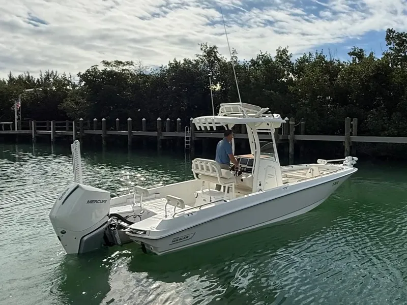 Slide: The Image of Boston Whaler 240 DAUNTLESS PRO 2020 - 6