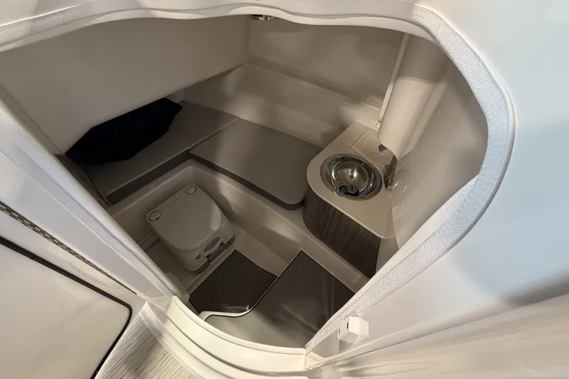 Slide: The Image of Sea Ray SDX 250 Outboard 2026 - 18