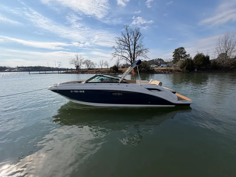 The Image of Sea Ray 250 SDX 2019 - 0