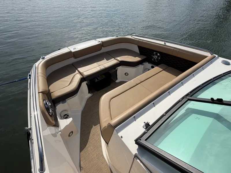 Slide: The Image of Sea Ray 250 SDX 2019 - 11
