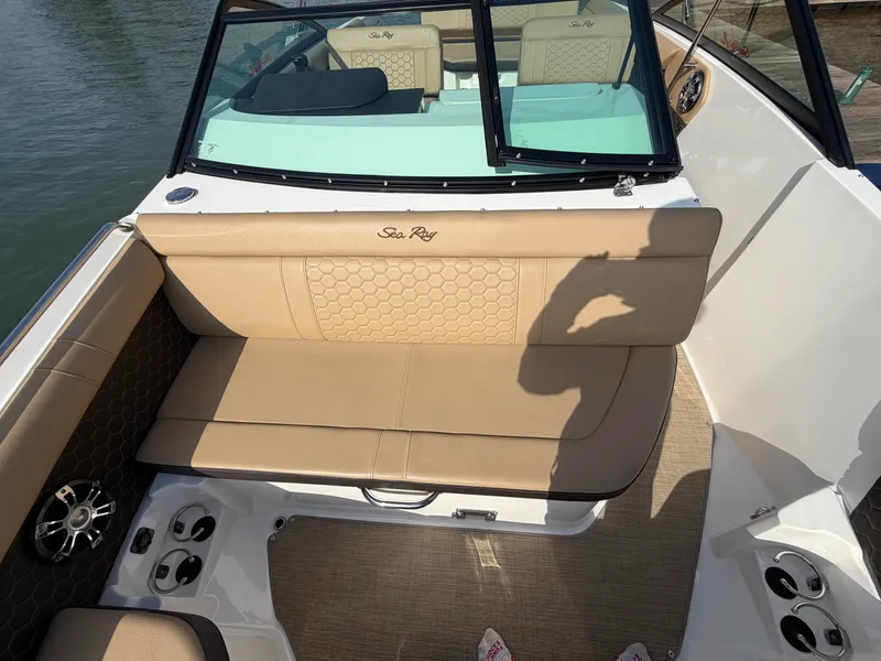Slide: The Image of Sea Ray 250 SDX 2019 - 14