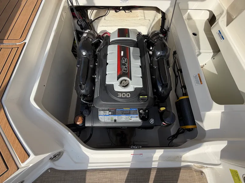 Slide: The Image of Sea Ray 250 SDX 2019 - 29