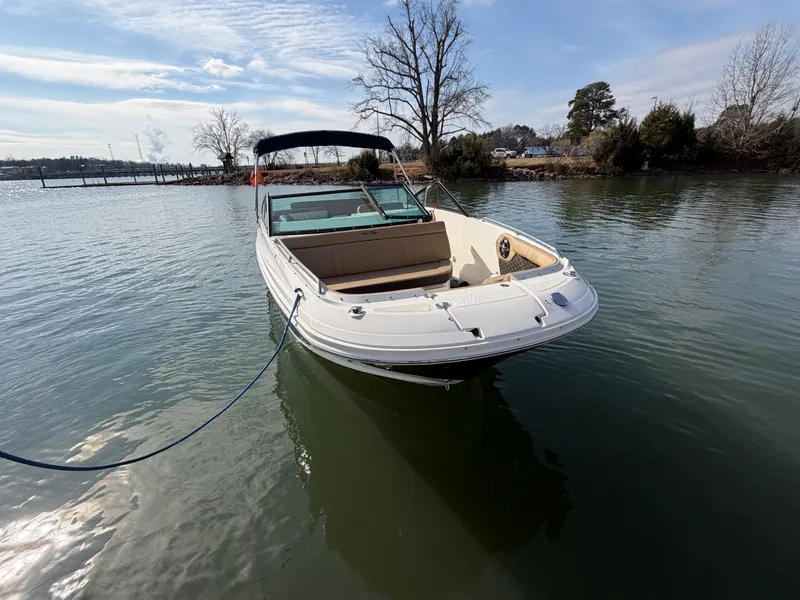 Slide: The Image of Sea Ray 250 SDX 2019 - 3
