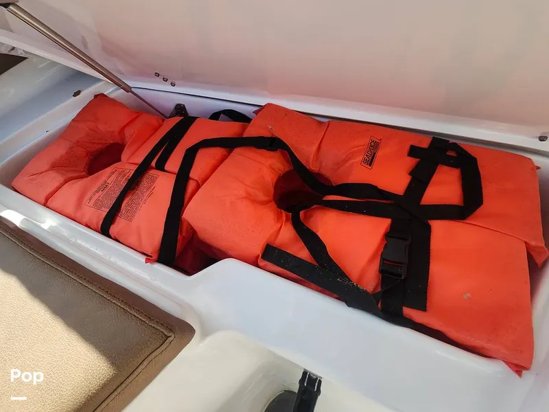 Slide: The Image of Sea Hunt Ultra 229 2021 - 16008148