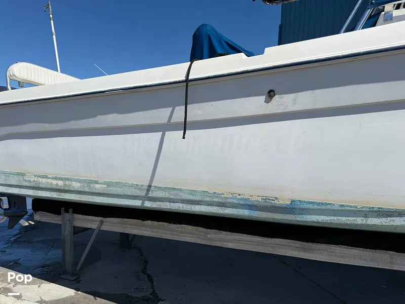 Slide: The Image of Cobia 274 CC 2000 - 15986097