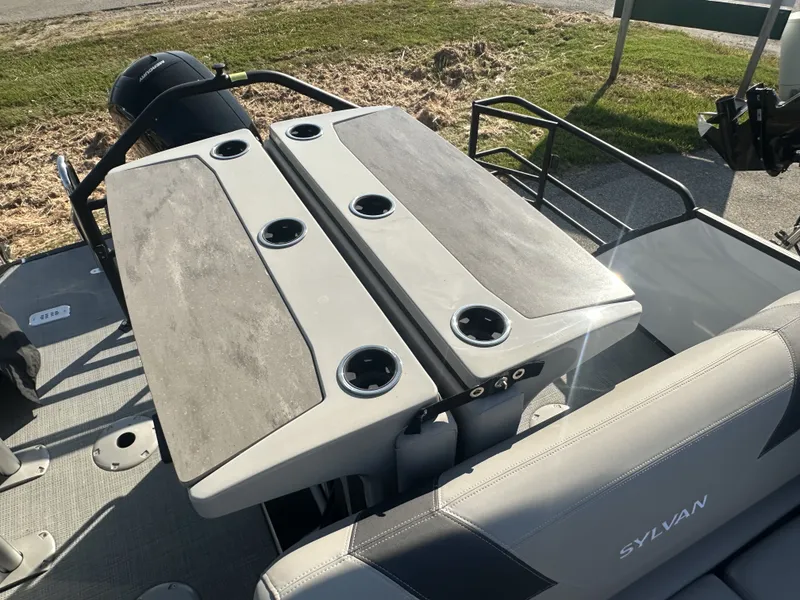 Slide: The Image of Sylvan L3 2024 - 8