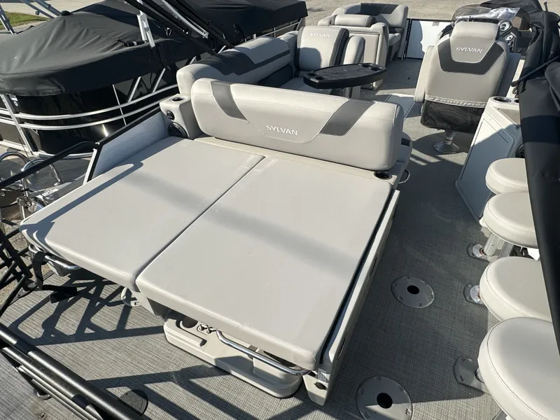 Slide: The Image of Sylvan L3 2024 - 9