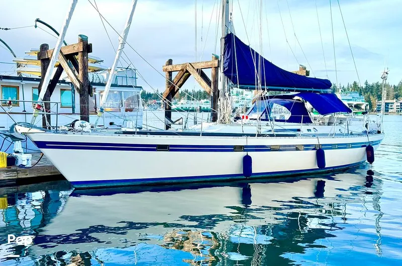 The Image of Tayana 55 1984 - 16075922