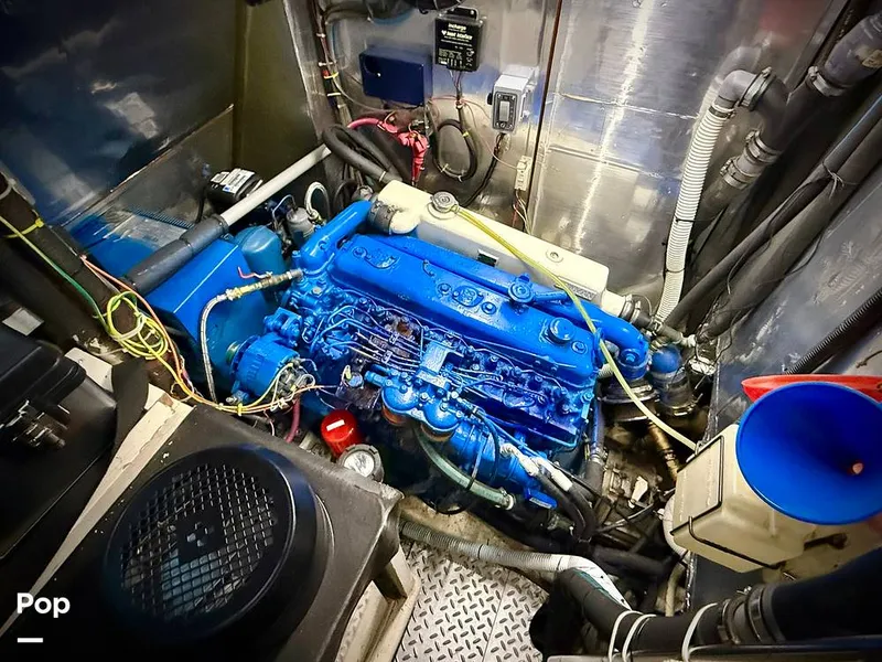 Slide: The Image of Tayana 55 1984 - 16076042