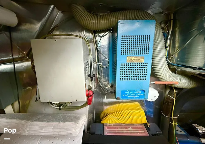 Slide: The Image of Tayana 55 1984 - 16076049