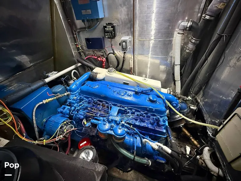 Slide: The Image of Tayana 55 1984 - 16076051