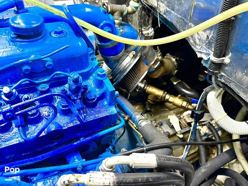 Slide: The Image of Tayana 55 1984 - 16076054