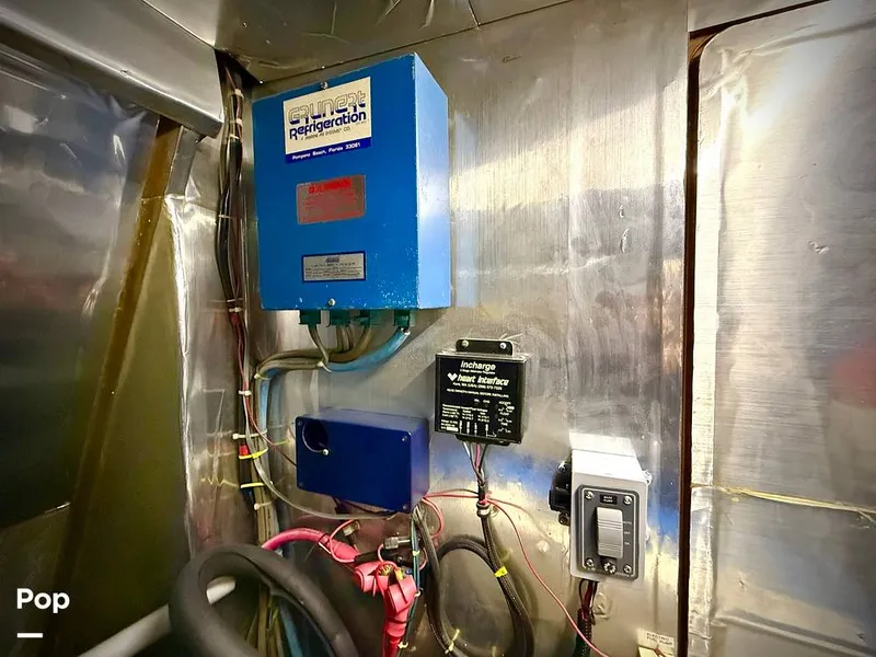 Slide: The Image of Tayana 55 1984 - 16076055