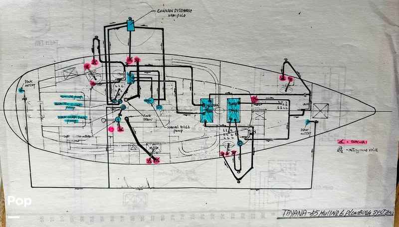 Slide: The Image of Tayana 55 1984 - 16076058