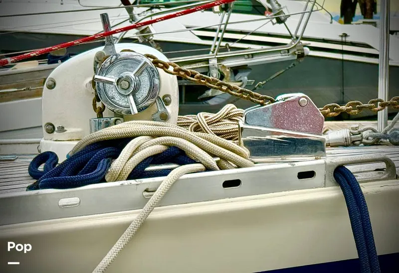 Slide: The Image of Tayana 55 1984 - 16076063