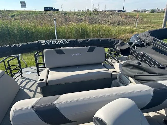 Slide: The Image of Sylvan L5 2024 - 9