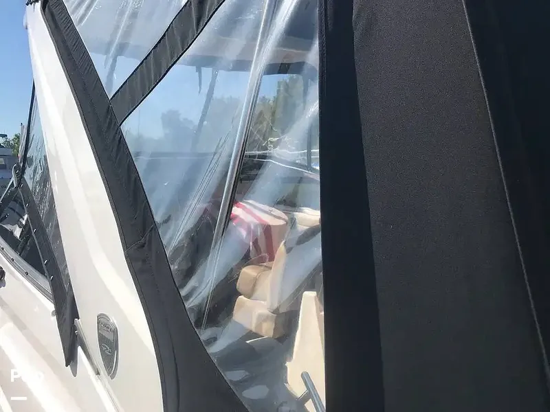 Slide: The Image of Isinglass - 15977745