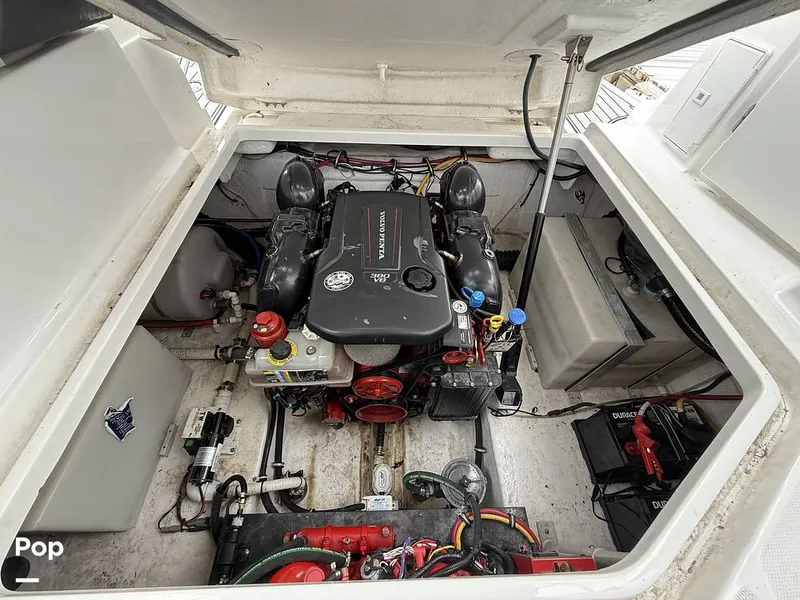 Slide: The Image of Monterey 295 SY 2020 - 15996154