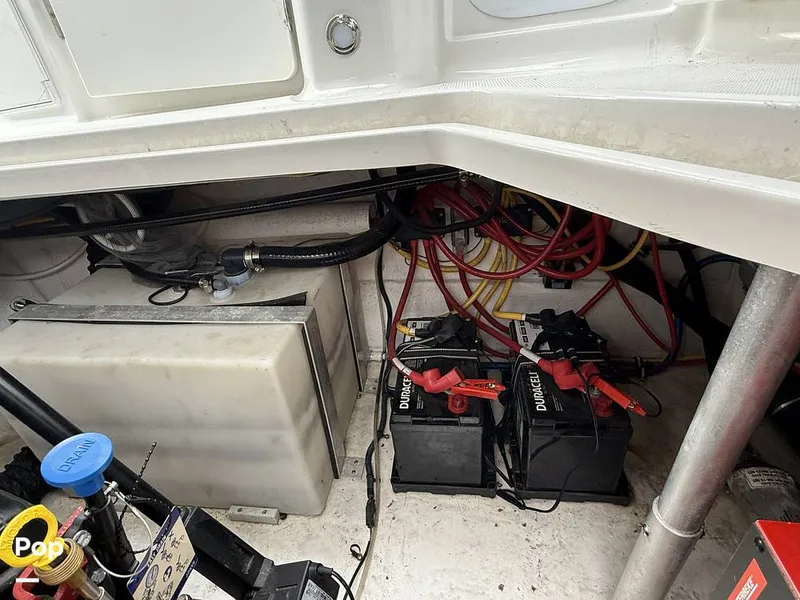 Slide: The Image of Monterey 295 SY 2020 - 15996159