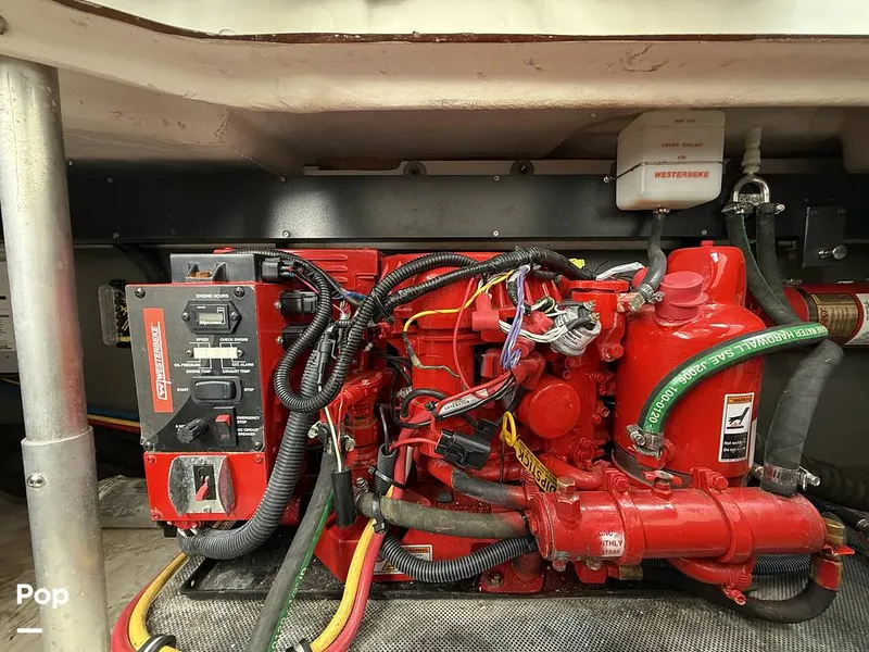 Slide: The Image of Monterey 295 SY 2020 - 15996163