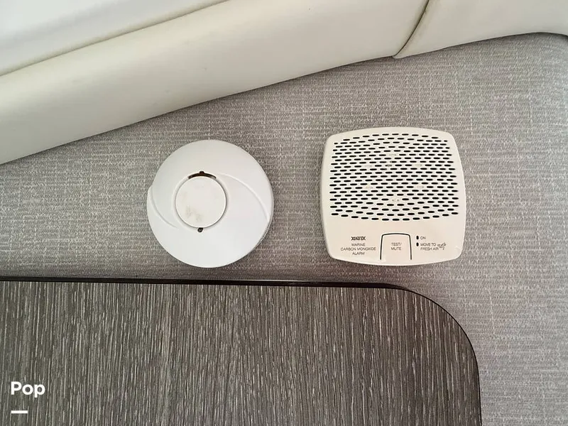 Slide: The Image of Monterey 295 SY 2020 - 15996191