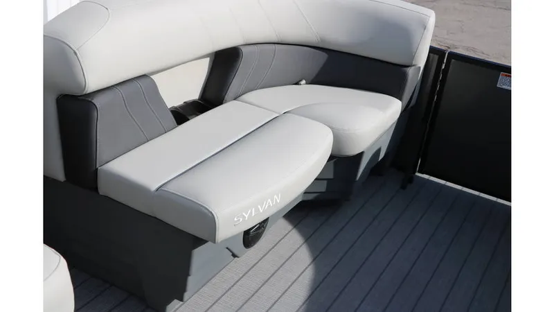 Slide: The Image of Sylvan Mirage 820 Party Fish Premium 2025 - 24