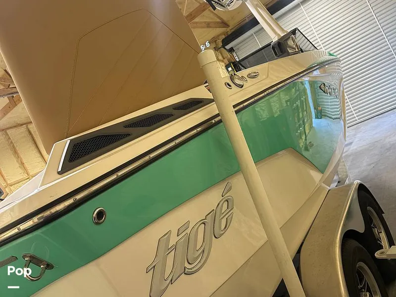 Slide: The Image of Tige 22 RZX 2020 - 15986678