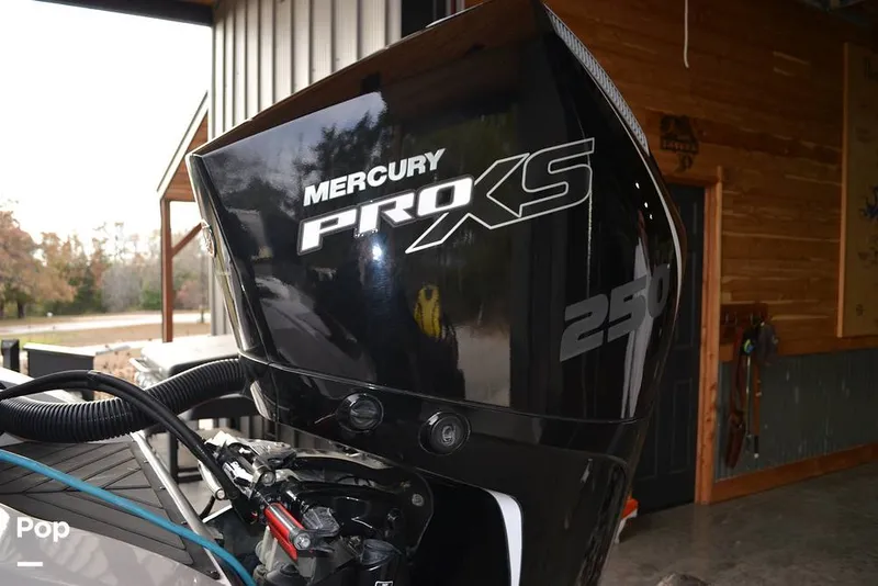 Slide: The Image of Vexus VX 20 2022 - 16050136