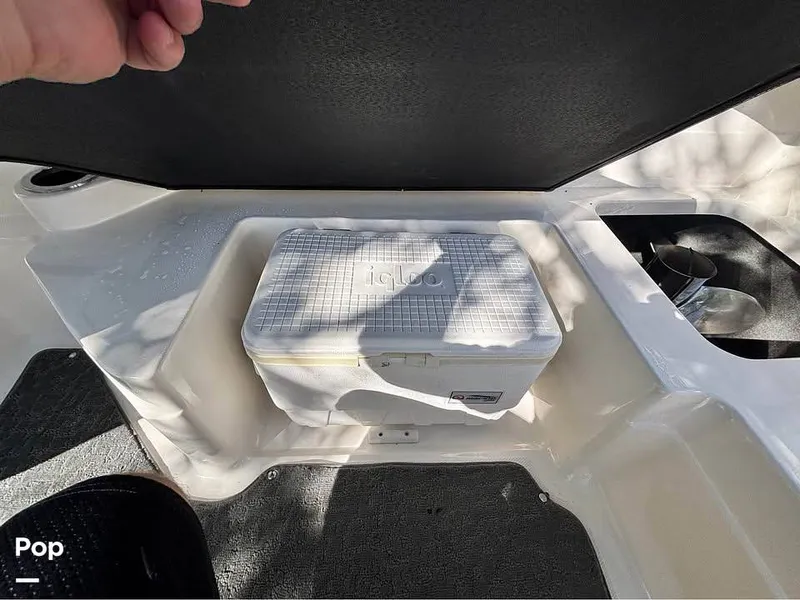 Slide: The Image of Sea Ray SPX 210 2017 - 16089887