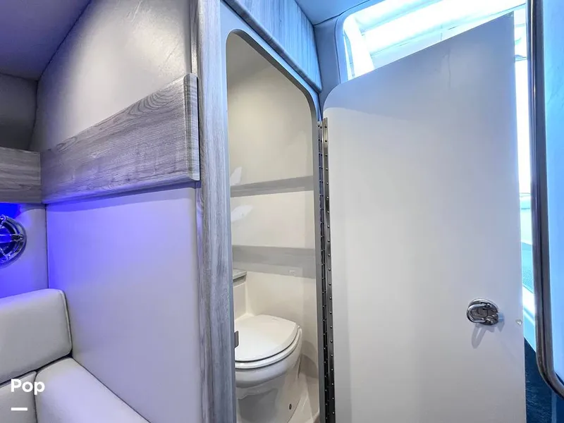 Slide: The Image of Head - 16300301