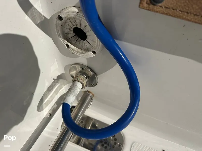 Slide: The Image of Sea Hunt Gamefish 27 2020 - 16031679