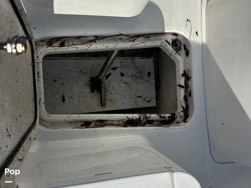 Slide: The Image of Sea Hunt Gamefish 27 2020 - 16031615