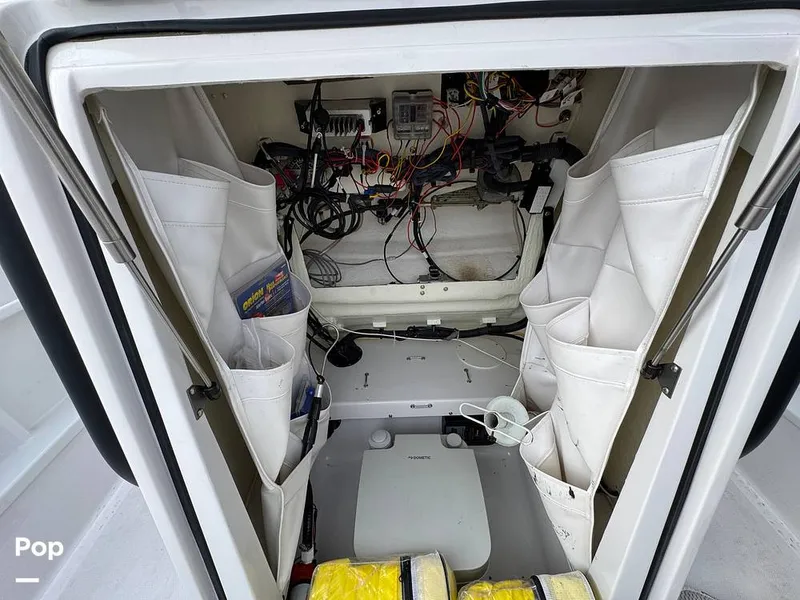 Slide: The Image of Scarab 195 Open 2019 - 16124057