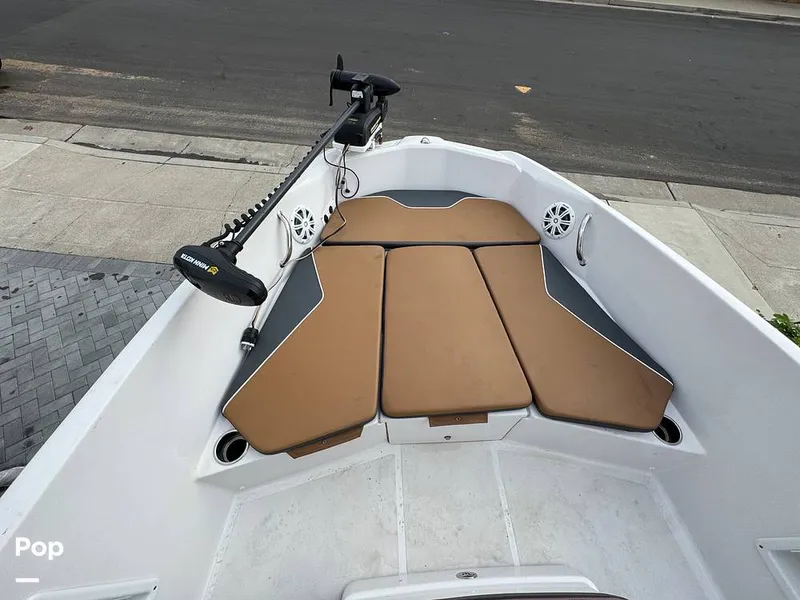 Slide: The Image of Scarab 195 Open 2019 - 16124054