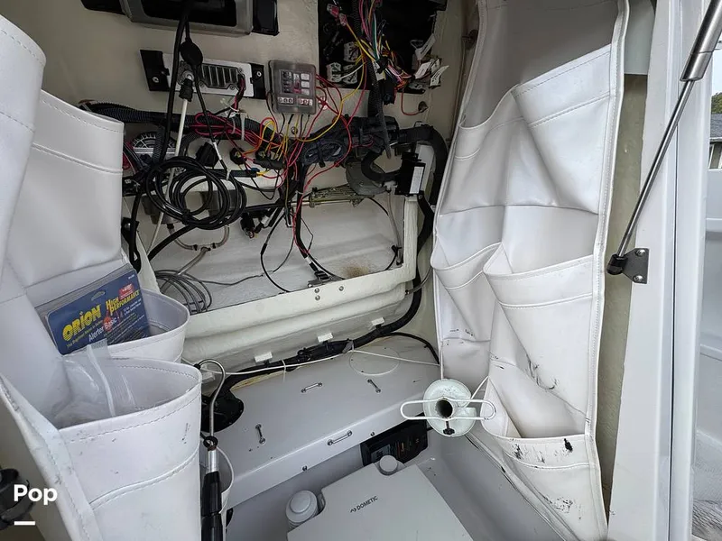 Slide: The Image of Scarab 195 Open 2019 - 16124058