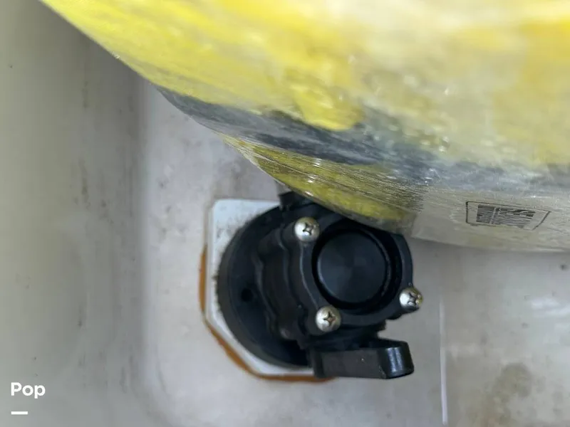 Slide: The Image of Scarab 195 Open 2019 - 16124060