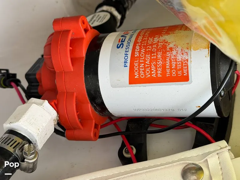 Slide: The Image of Scarab 195 Open 2019 - 16124061