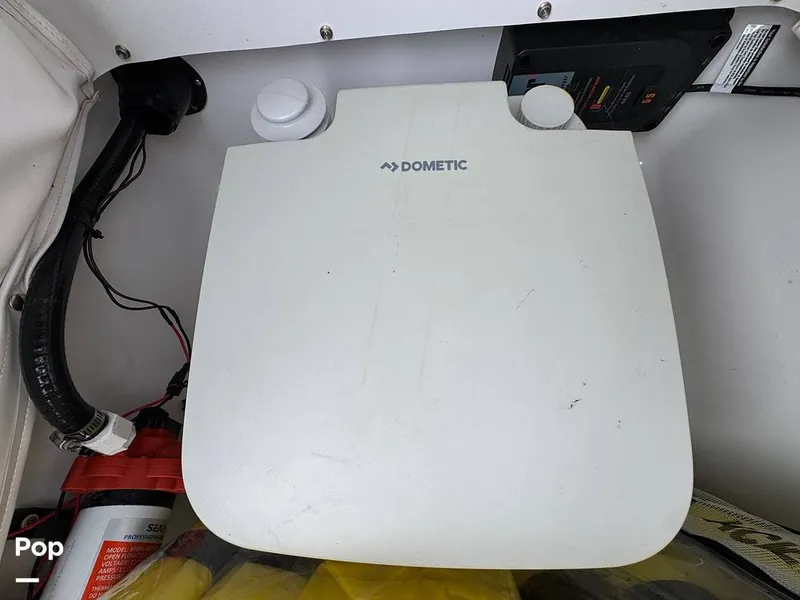 Slide: The Image of Scarab 195 Open 2019 - 16124063