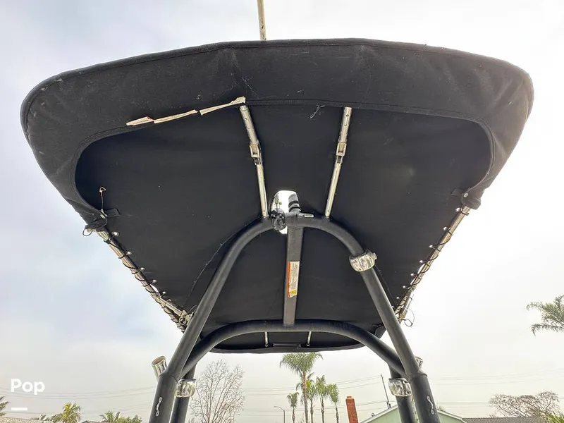 Slide: The Image of Scarab 195 Open 2019 - 16124083