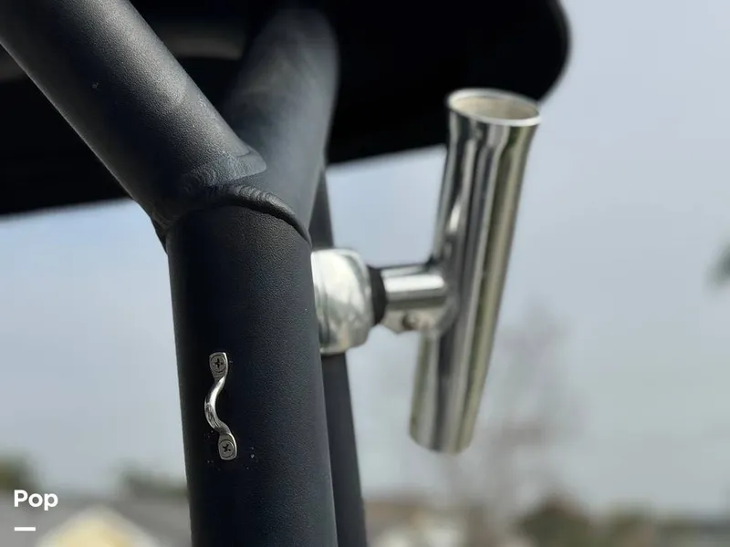 Slide: The Image of Scarab 195 Open 2019 - 16124084