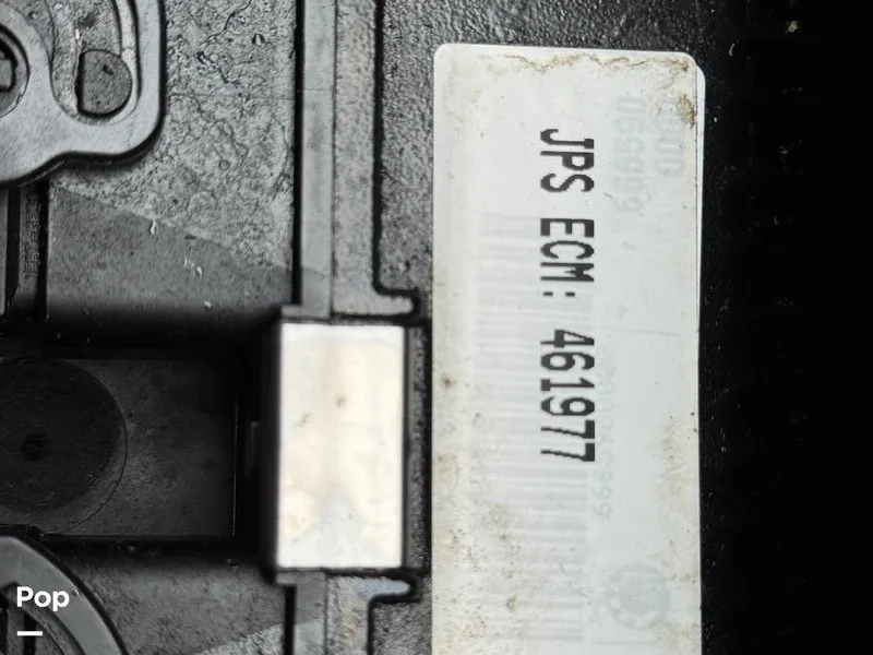 Slide: The Image of Scarab 195 Open 2019 - 16124097