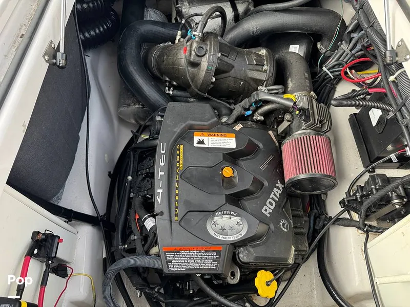 Slide: The Image of Scarab 195 Open 2019 - 16124099