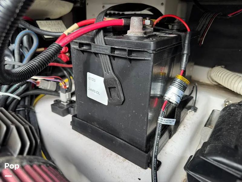 Slide: The Image of Scarab 195 Open 2019 - 16124100