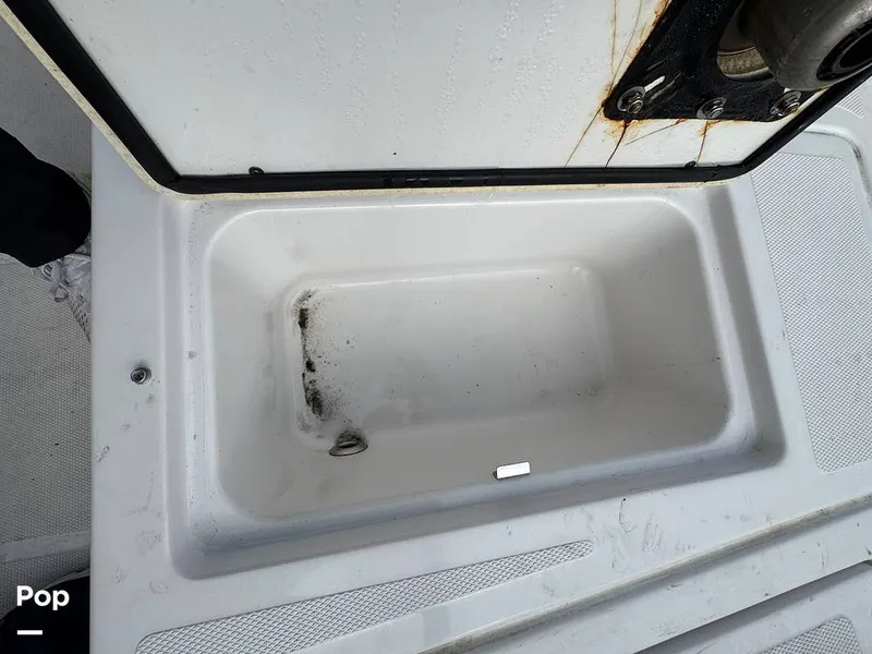 Slide: The Image of Scarab 195 Open 2019 - 16124103