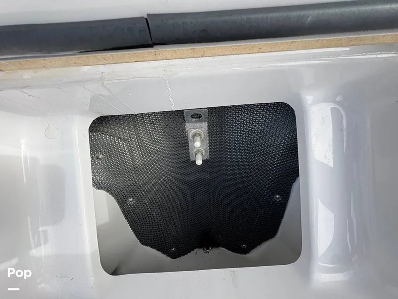 Slide: The Image of Scarab 195 Open 2019 - 16124108