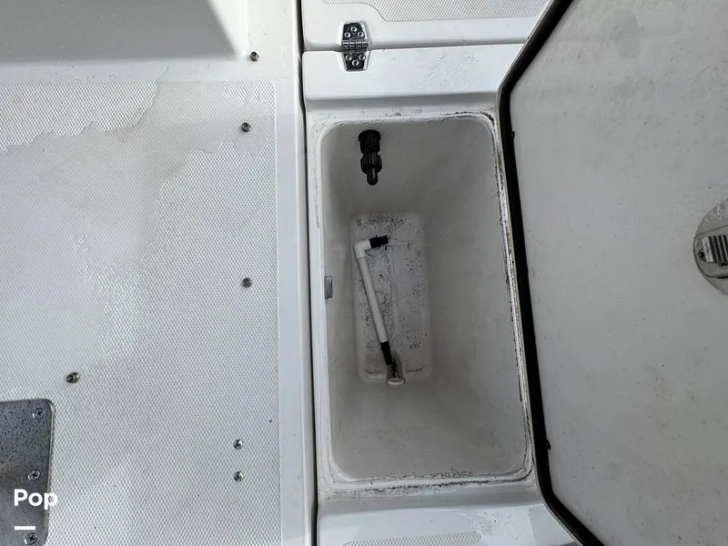 Slide: The Image of Scarab 195 Open 2019 - 16124110