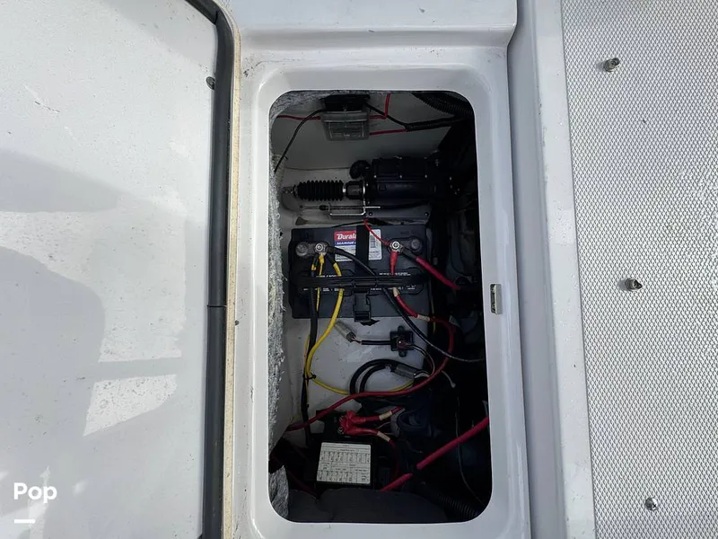 Slide: The Image of Scarab 195 Open 2019 - 16124112