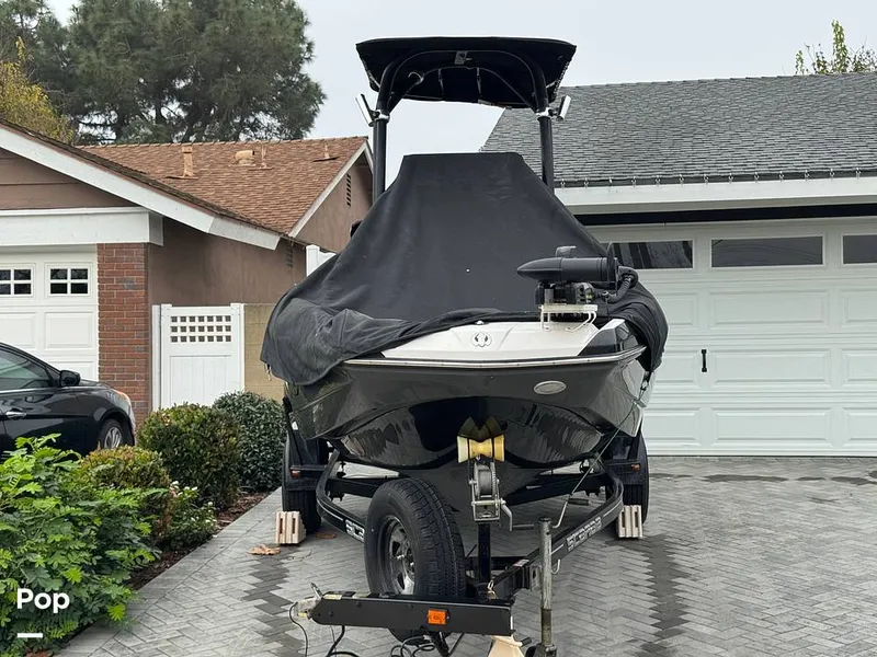 Slide: The Image of Scarab 195 Open 2019 - 16124021