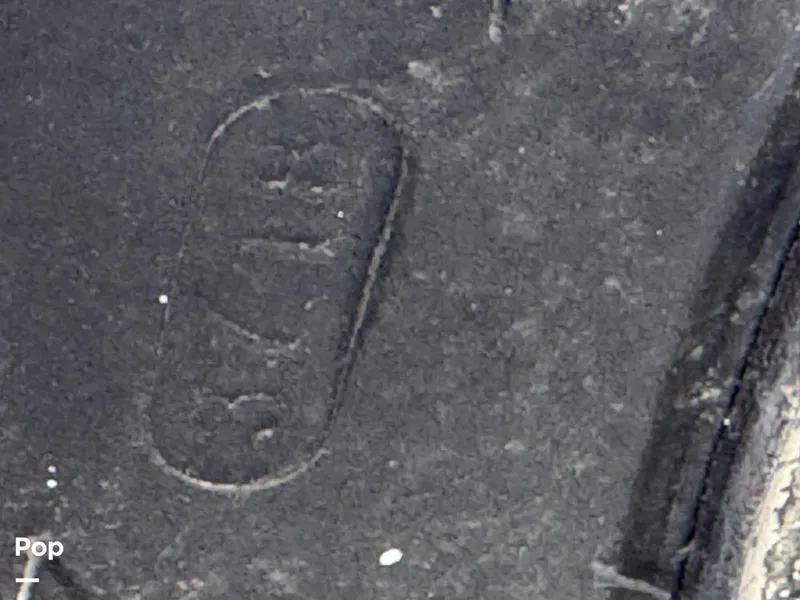 Slide: The Image of Scarab 195 Open 2019 - 16124031