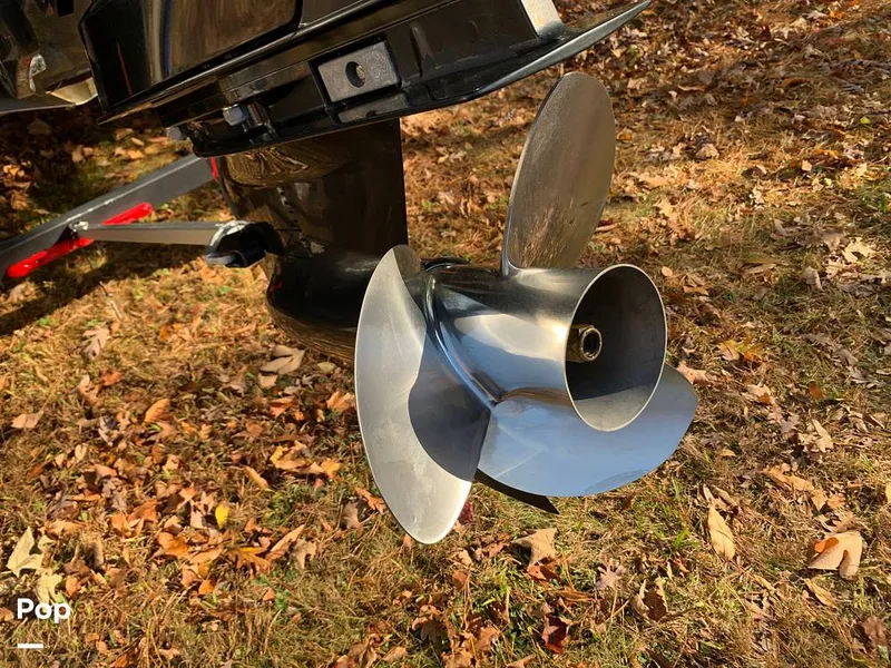 Slide: The Image of SS Prop - 16014806